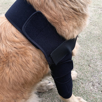 Pet Protector Knee Protection Cover
