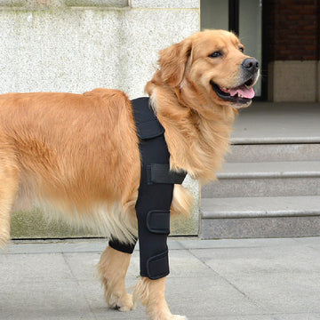 Pet Protector Knee Protection Cover